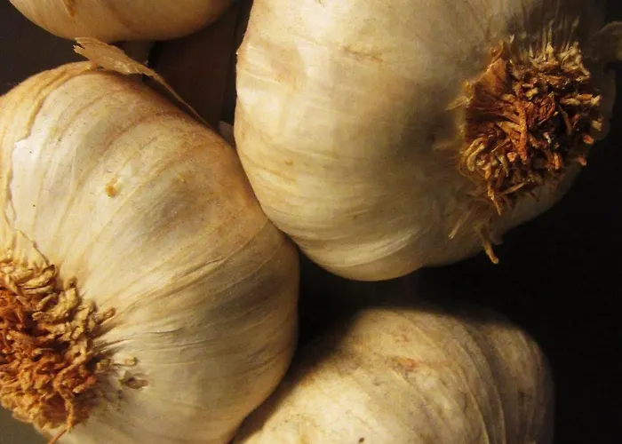 Kaixo Гостевой дом Сан-Себастьян